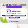 2 BOTTLES IMMUNO 150 THE ULTIMATE MULTI VITAMIN, IMMUNE BOOSTER. 150 CAPSULES